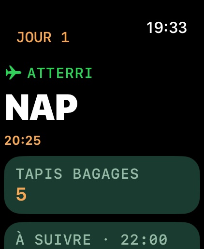 Apple Watch affichant l’atterrissage à Naples, tapis bagages 5